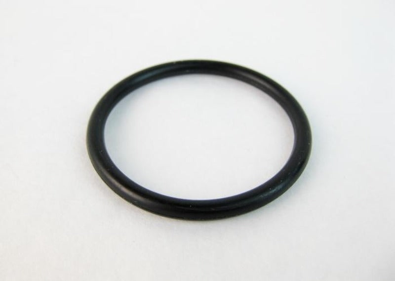 117459 O-Ring